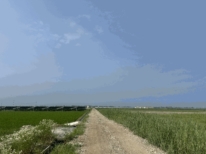 충청남도 당진시 석문면 초락도리 1375 답 경매 사진 14