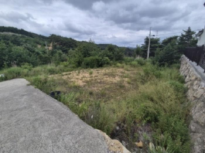 경상북도 경주시 양남면 신대리 23-6 임야 경매 사진 1