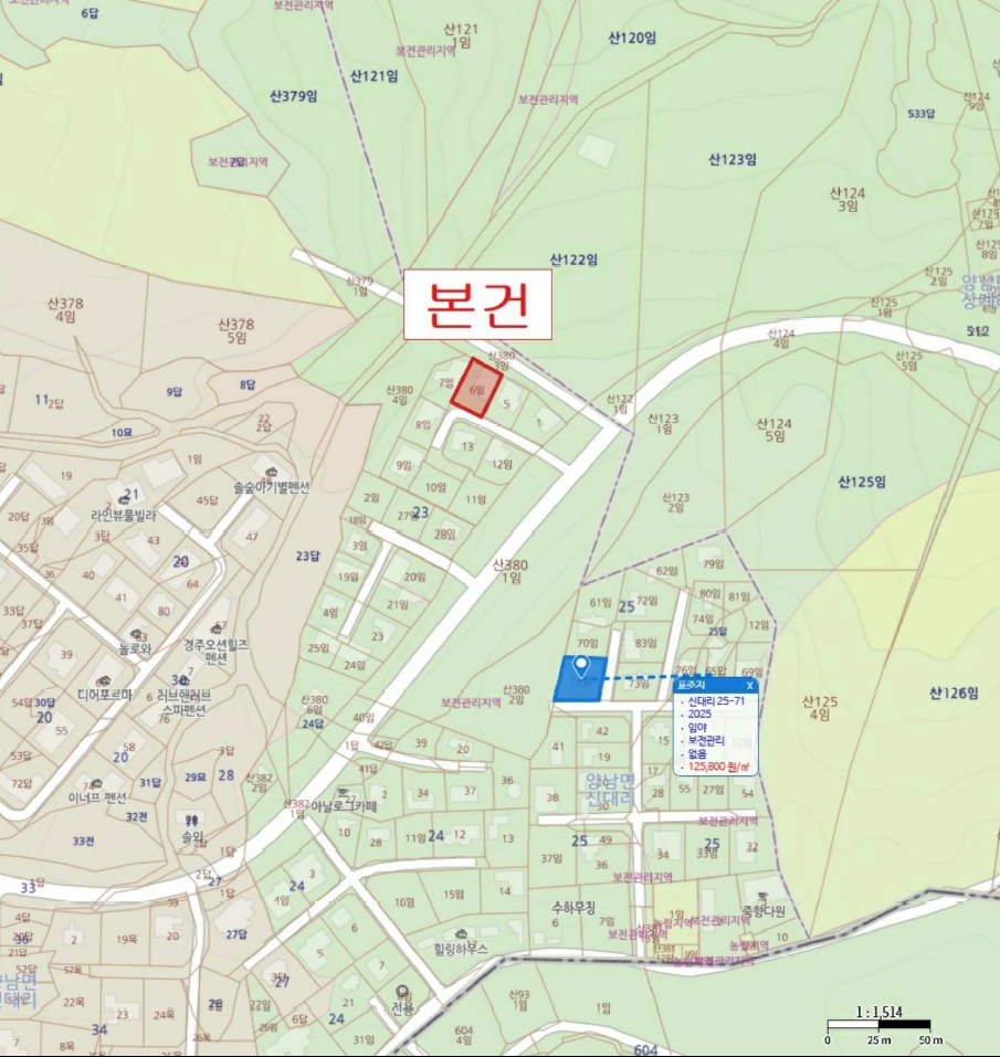 경상북도 경주시 양남면 신대리 23-6 임야 경매 사진 6