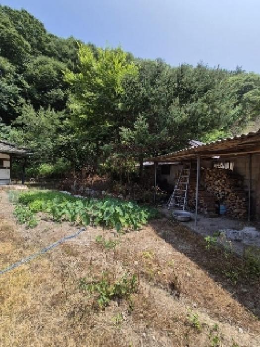 전라남도 담양군 용면 용연리 163 외 1필지 대지 경매 사진 4