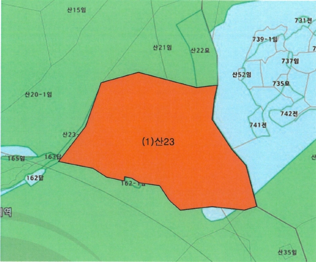 전라남도 화순군 도암면 대초리 산23 임야 경매 사진 10