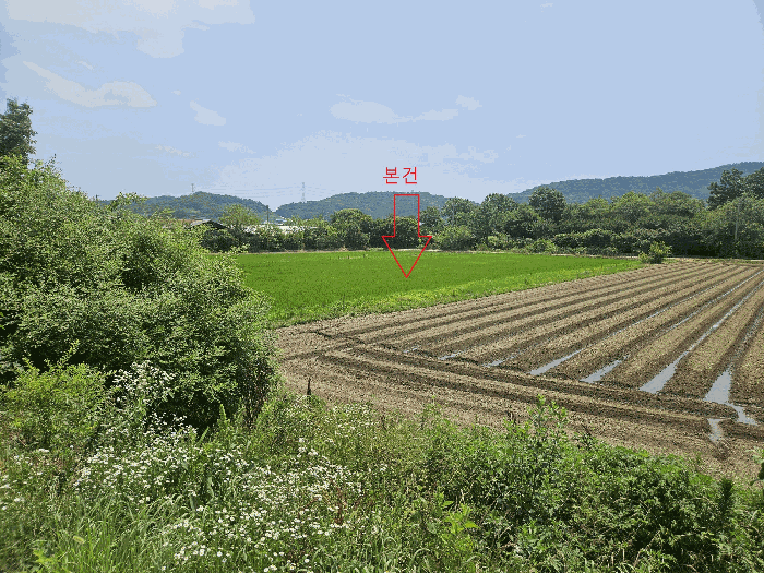 전북특별자치도 정읍시 덕천면 상학리 842 답 경매 사진 9