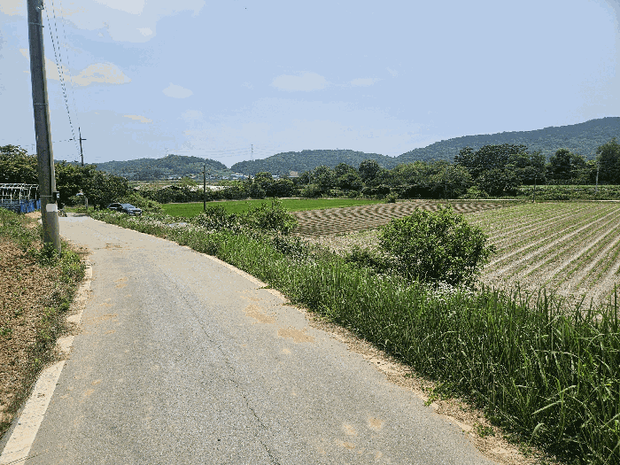전북특별자치도 정읍시 덕천면 상학리 842 답 경매 사진 10