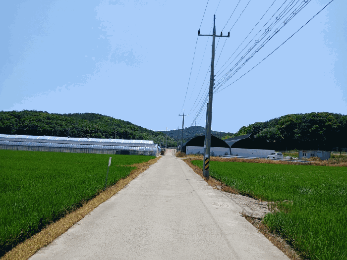 인천광역시 옹진군 영흥면 내리 503-11 답 경매 사진 6