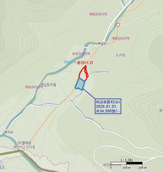 강원특별자치도 평창군 대화면 하안미리 119 외 1필지 전 경매 사진 8