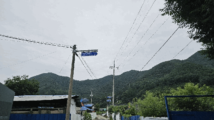 충청북도 괴산군 청천면 강평리 산7-2 임야 경매 사진 13