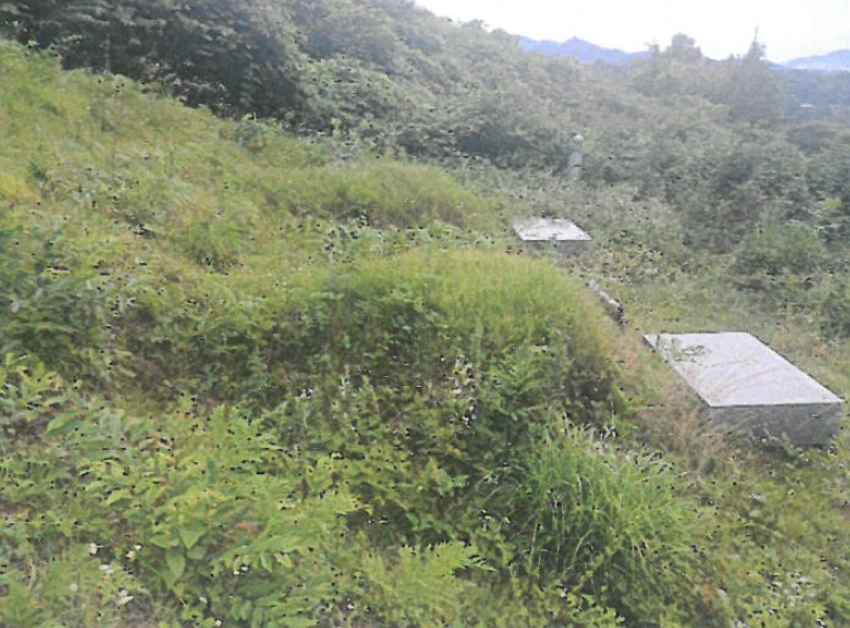 충청북도 청주시 상당구 문의면 남계리 산91-5 임야 경매 사진 3