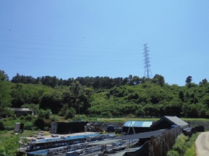 충청북도 청주시 상당구 문의면 남계리 산91-5 임야 경매 사진 5