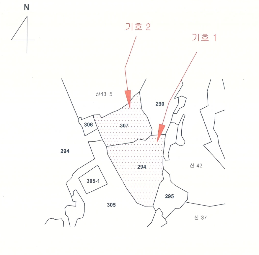 충청북도 단양군 영춘면 사이곡리 294 외 1필지 전 경매 사진 13