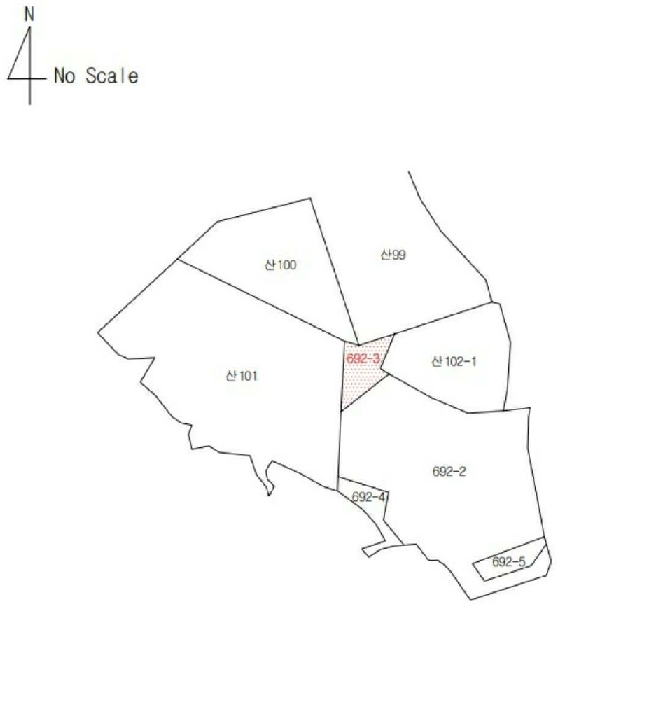 대구광역시 달성군 구지면 목단리 692-3 임야 경매 사진 18