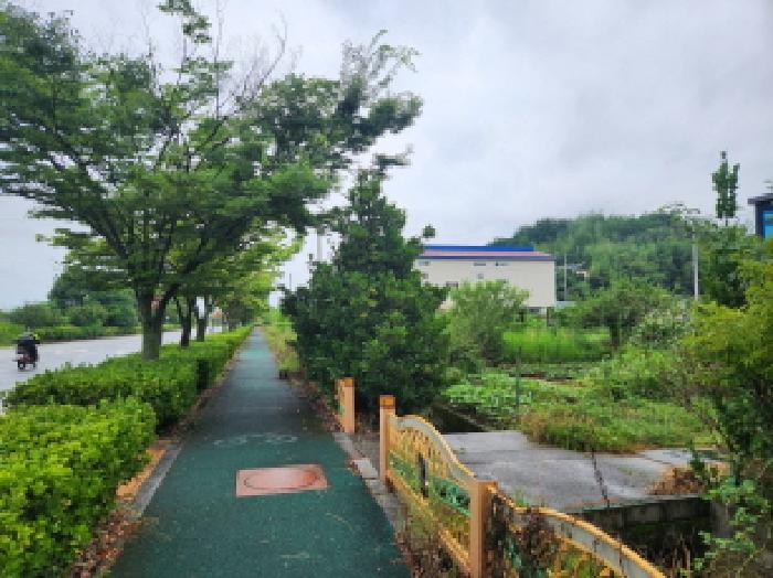 전라남도 순천시 대대동 579-1 답 경매 사진 16