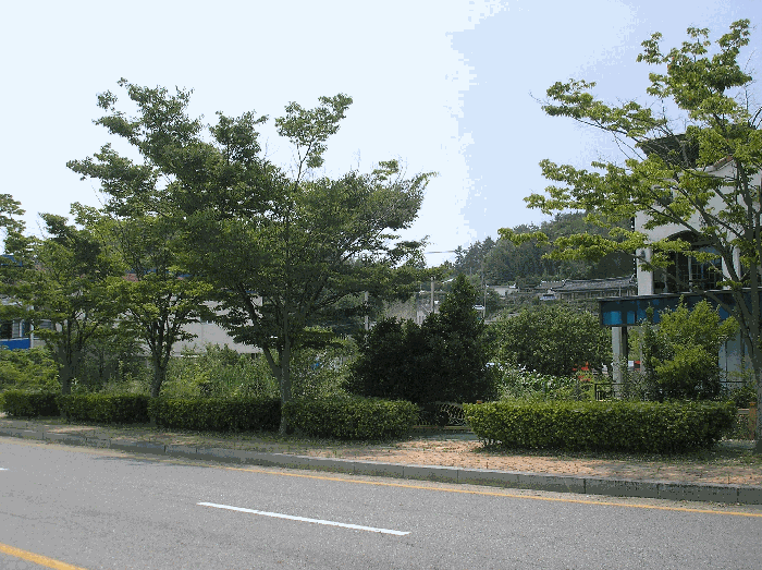 전라남도 순천시 대대동 579-1 답 경매 사진 20