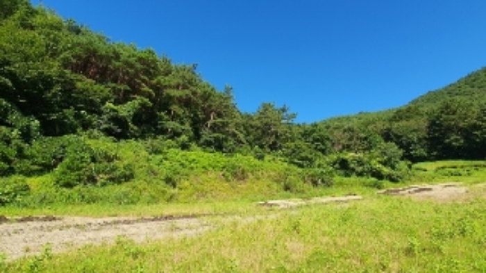 경상남도 창원시 마산합포구 진동면 동전리 1064 전 경매 사진 1