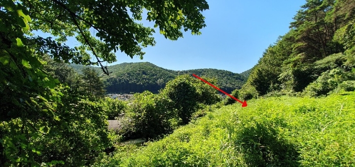 경상남도 창원시 마산합포구 진동면 동전리 1064 전 경매 사진 5