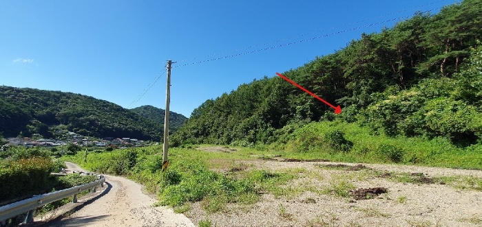 경상남도 창원시 마산합포구 진동면 동전리 1064 전 경매 사진 6