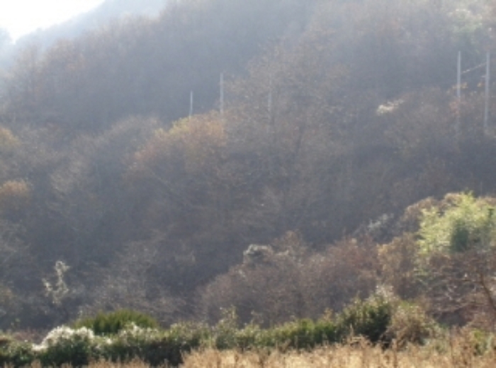 경남 산청군 시천면 내공리 산108-5 임야 경매 사진 1