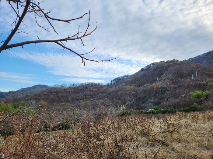 경남 산청군 시천면 내공리 산108-5 임야 경매 사진 2