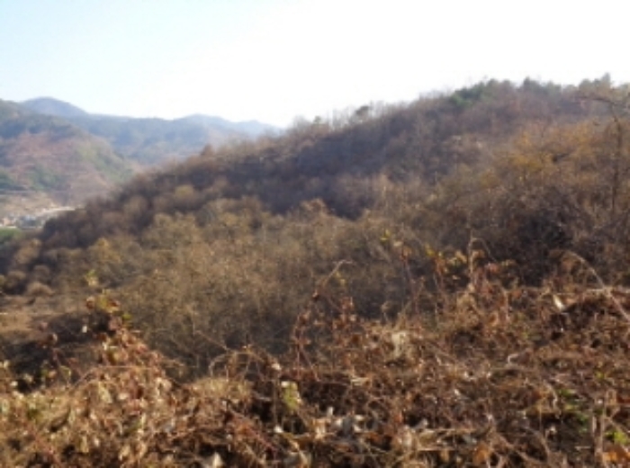 경남 산청군 시천면 내공리 산108-6 외 1필지 임야 경매 사진 1