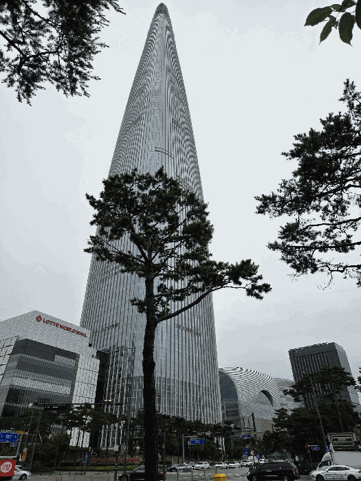 서울특별시 송파구 신천동 29 롯데월드타워앤드롯데월드몰 월드타워동 44층4412호 오피스텔 경매 사진 19