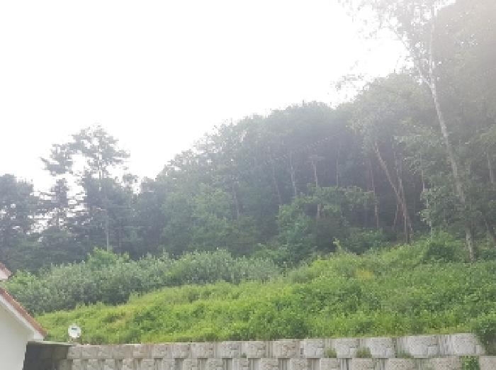 강원특별자치도 춘천시 퇴계동 산1-21 외 12필지 임야 경매 사진 3