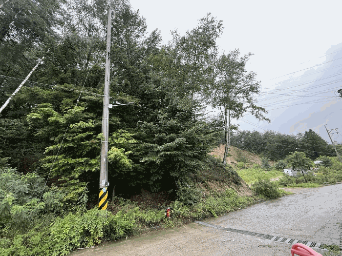 강원특별자치도 춘천시 퇴계동 산1-21 외 12필지 임야 경매 사진 26