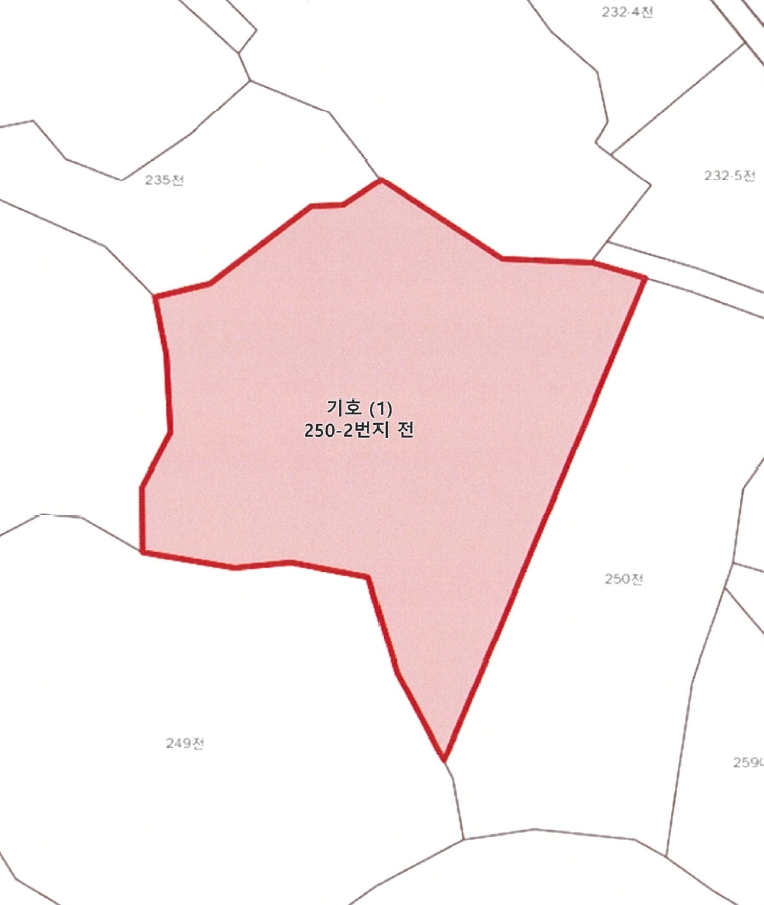 강원특별자치도 정선군 신동읍 운치리 250-2 전 경매 사진 18