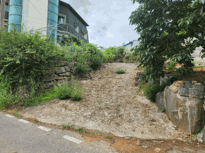 충청남도 서천군 서천읍 화금리 602-1 외 5필지 상가주택 경매 사진 21