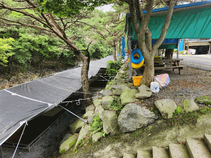 충청남도 보령시 성주면 성주리 65-25 외 3필지 숙박시설 경매 사진 18