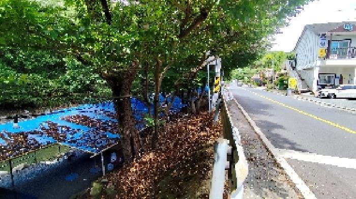 충청남도 보령시 성주면 성주리 65-25 외 3필지 숙박시설 경매 사진 3
