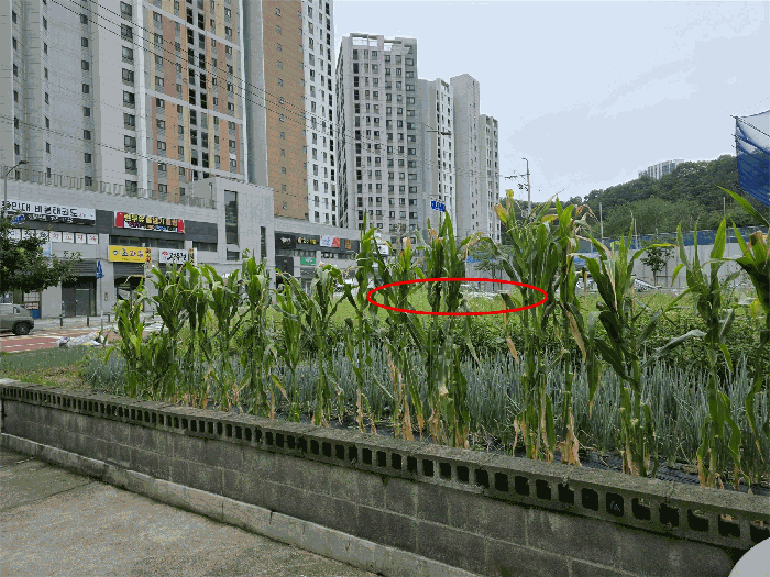 경상북도 구미시 고아읍 문성리 1634 대지 경매 사진 11