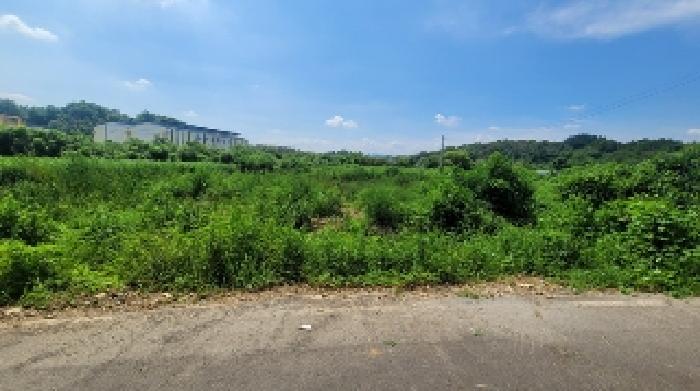 경상남도 함안군 칠서면 용성리 391-1 전 경매 사진 10