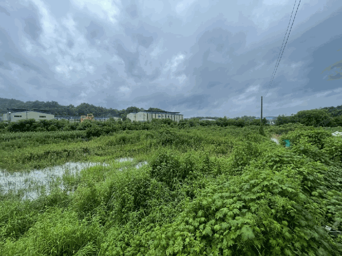 경상남도 함안군 칠서면 용성리 391-1 전 경매 사진 11