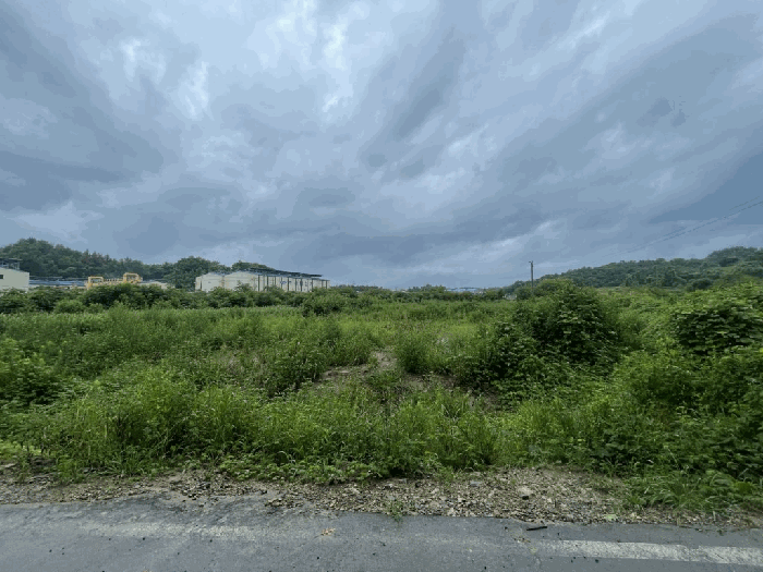 경상남도 함안군 칠서면 용성리 391-1 전 경매 사진 12