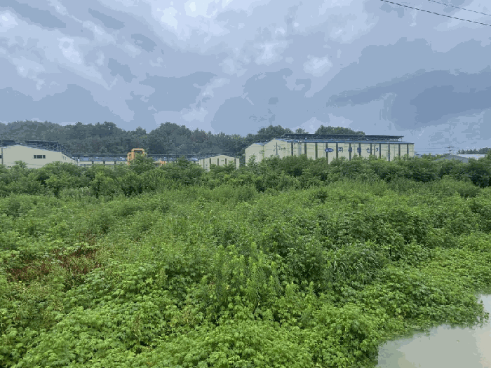 경상남도 함안군 칠서면 용성리 391-1 전 경매 사진 14