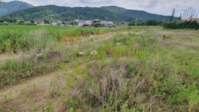 경상남도 창원시 마산합포구 진동면 요장리 574-3 답 경매 사진 1