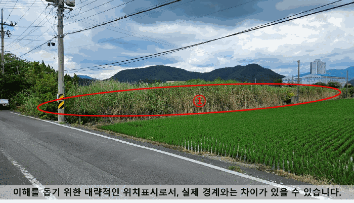 경상남도 창원시 마산합포구 진동면 요장리 574-3 답 경매 사진 7
