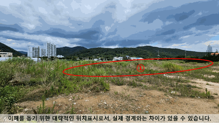경상남도 창원시 마산합포구 진동면 요장리 574-3 답 경매 사진 8