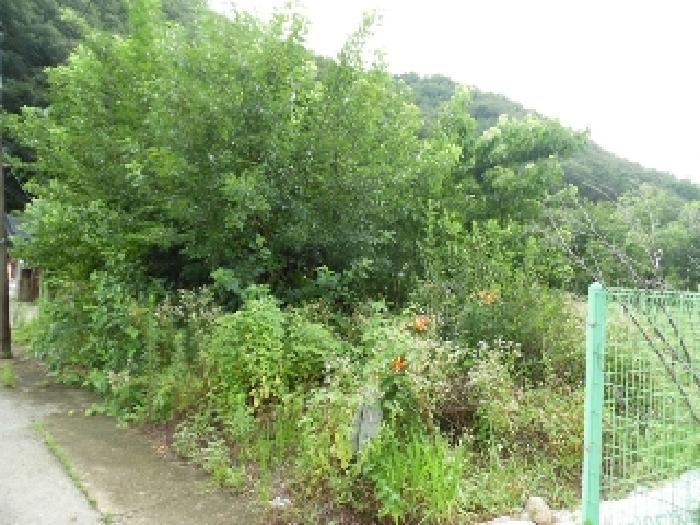 전북특별자치도 전주시 완산구 색장동 822 대지 경매 사진 18
