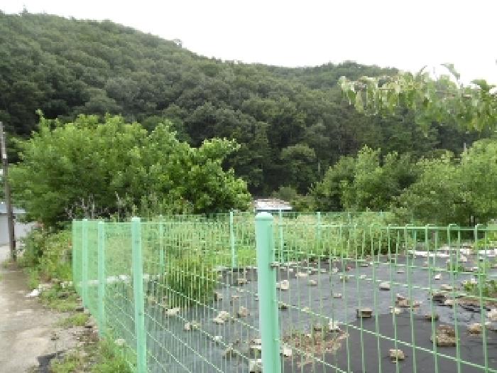 전북특별자치도 전주시 완산구 색장동 822 대지 경매 사진 21