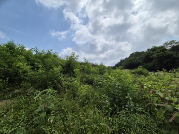 세종특별자치시 연동면 문주리 63-3 외 4필지 전 경매 사진 14