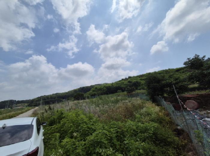 세종특별자치시 연동면 문주리 63-3 외 4필지 전 경매 사진 19