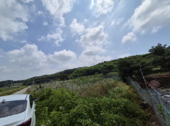 세종특별자치시 연동면 문주리 63-3 외 4필지 전 경매 사진 20