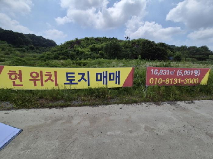 세종특별자치시 연동면 문주리 63-3 외 4필지 전 경매 사진 24
