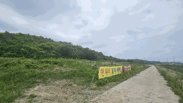 세종특별자치시 연동면 문주리 63-3 외 4필지 전 경매 사진 26