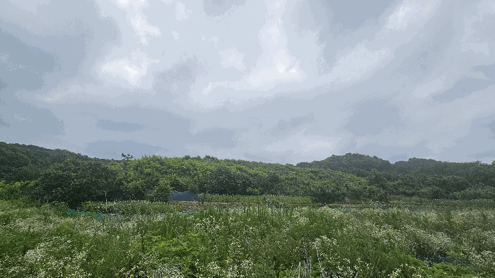 세종특별자치시 연동면 문주리 63-3 외 4필지 전 경매 사진 28