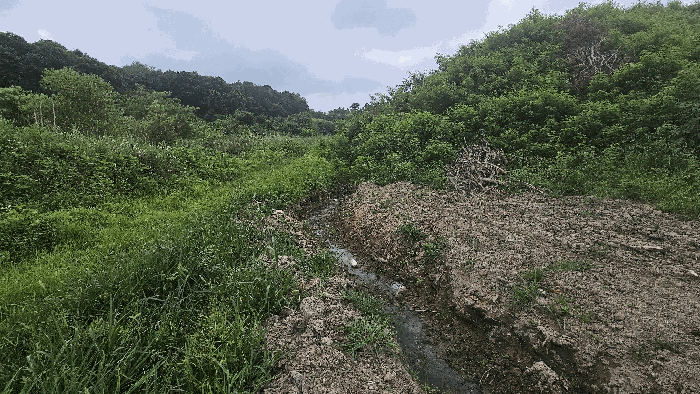 세종특별자치시 연동면 문주리 63-3 외 4필지 전 경매 사진 33
