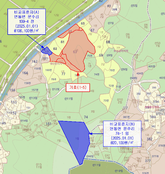 세종특별자치시 연동면 문주리 63-3 외 4필지 전 경매 사진 34