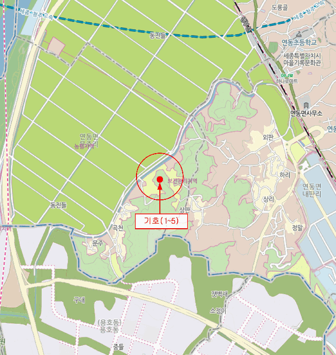 세종특별자치시 연동면 문주리 63-3 외 4필지 전 경매 사진 35