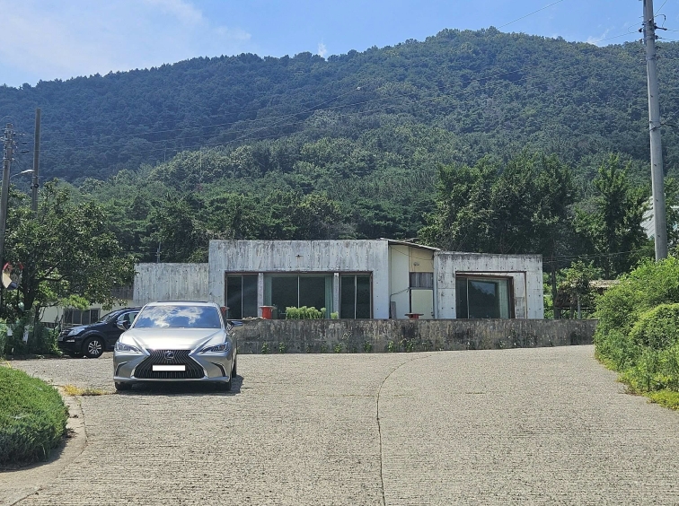 대구광역시 달성군 논공읍 노이리 산229 임야 경매 사진 4