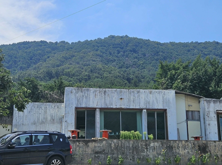 대구광역시 달성군 논공읍 노이리 산229 임야 경매 사진 5